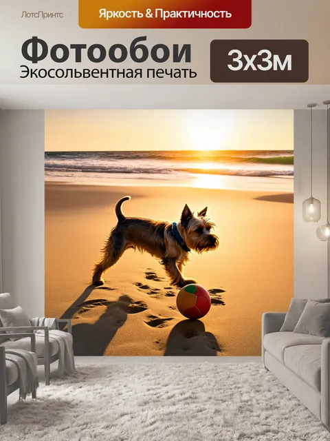 Фотообои на пустынном пляже в лучах закатного солнца, керн-терьер играет с мячом, его тень растянута на песке