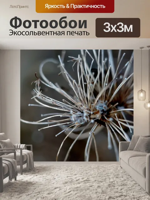 Фотообои След