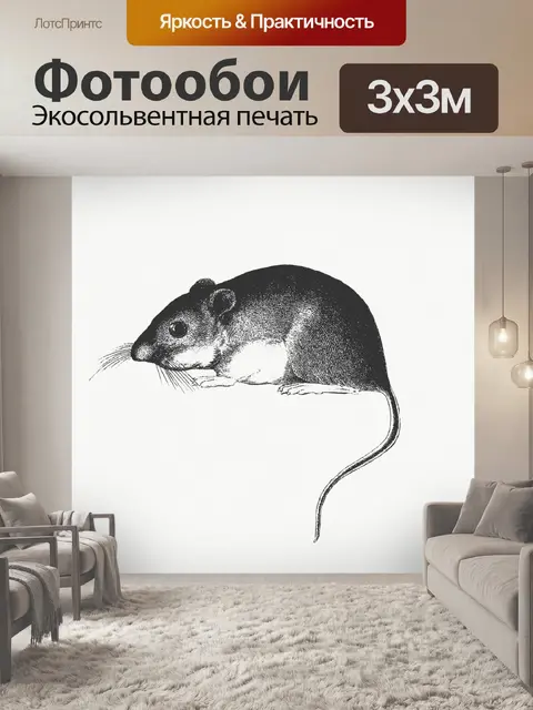 Фотообои Мышь крыса винтажное искусство