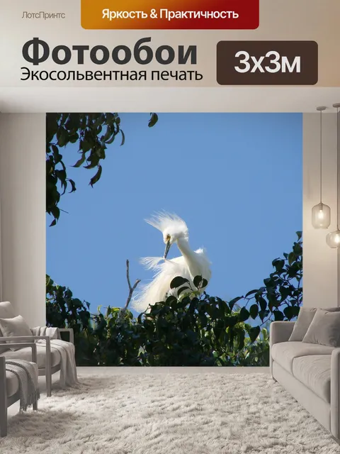 Фотообои Птица