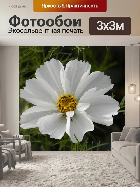 Фотообои Космос