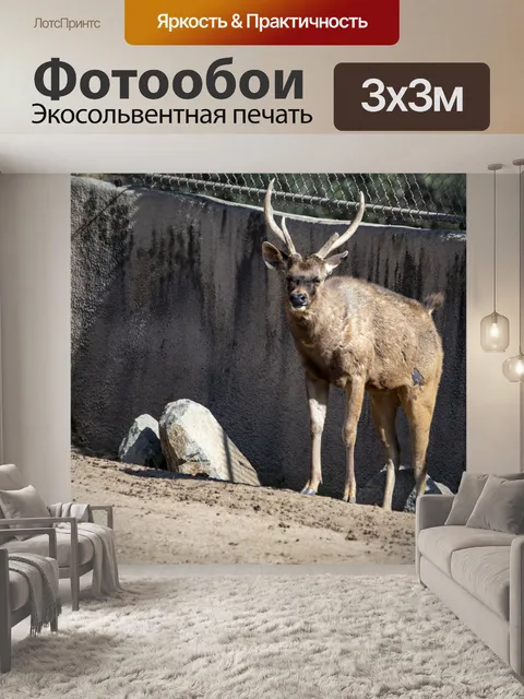 Фотообои НИЛЬ ЛЕЧВЕ антилопа