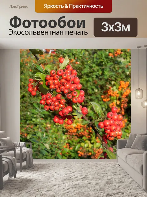 Фотообои Hlohyně алой