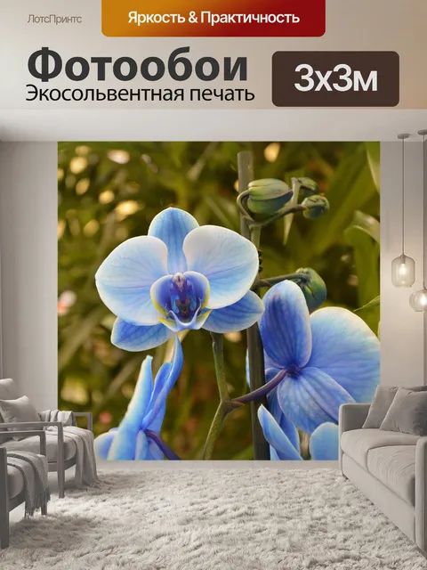 Фотообои Орхидея синяя