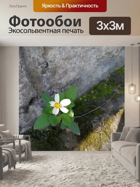 Фотообои Белый цветок