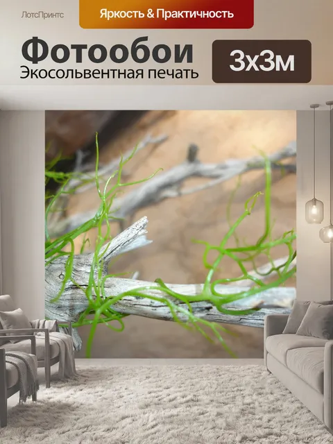 Фотообои Дрейф вуд