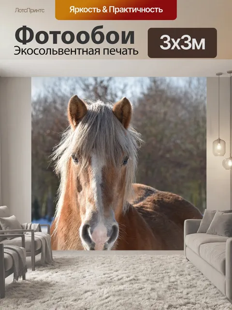 Фотообои Лошадь