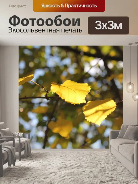 Фотообои Природа