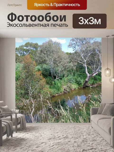 Фотообои Австралийского буша и ручей