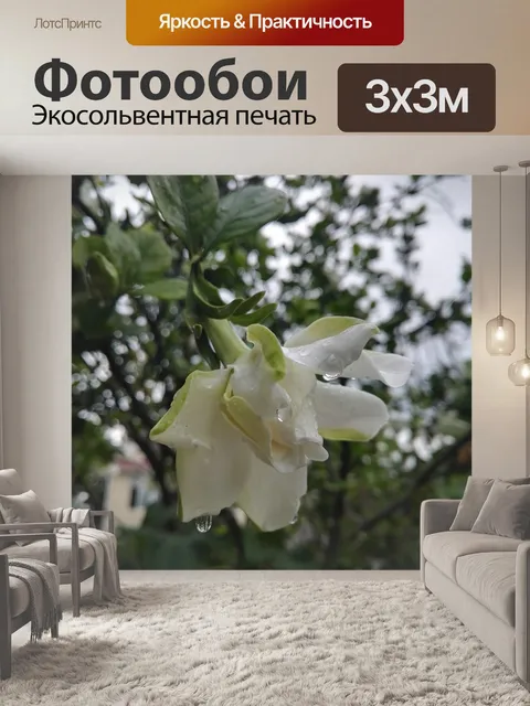 Фотообои Гардения