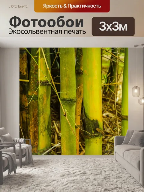 Фотообои Бамбуковый лес природа фон