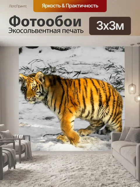 Фотообои Тигр