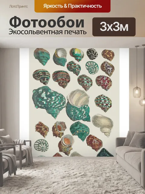 Фотообои Иллюстрация старинных ракушек