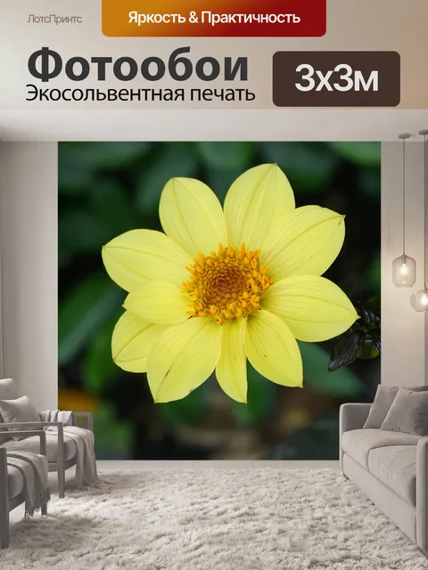 Фотообои Желтые лепестки