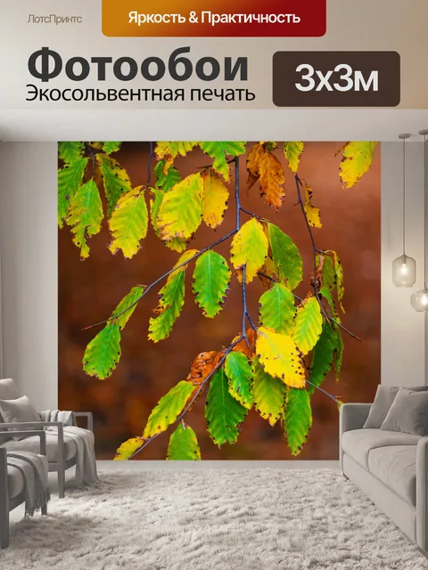 Фотообои листья бука филиал