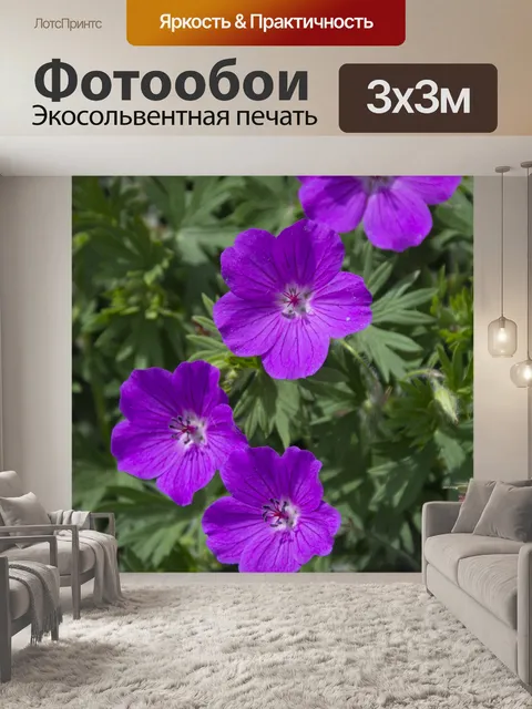 Фотообои балерина журавль герань