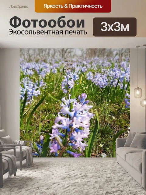 Фотообои Гиацинт