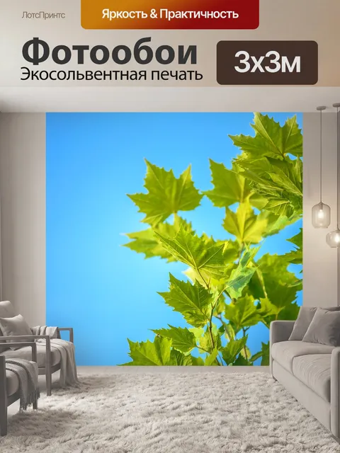 Фотообои Кленовые листья