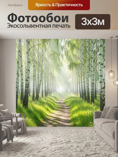 Фотообои Берёзовая аллея в солнечном тумане