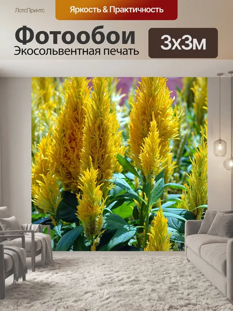 Фотообои Ярко-желтый цветок