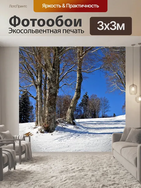 Фотообои Черный лес