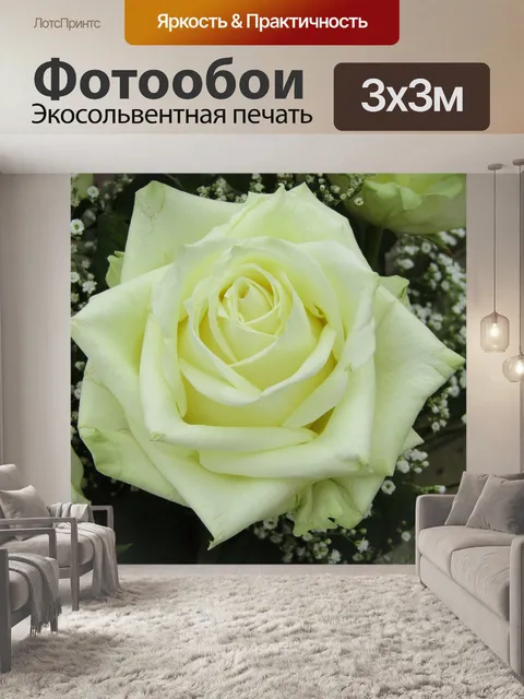 Фотообои Роза