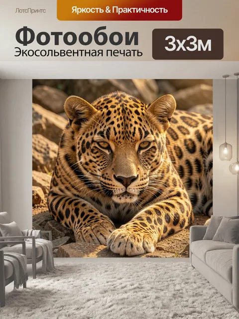 Фотообои Леопард на каменистой земле