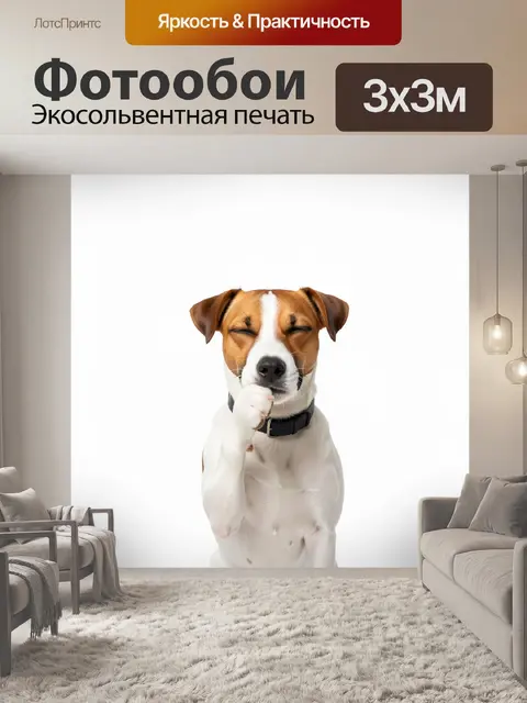 Фотообои Джек-рассел в задумчивой позе