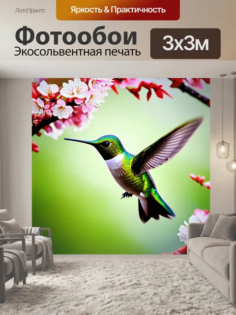 Фотообои изображение зеленого колибри