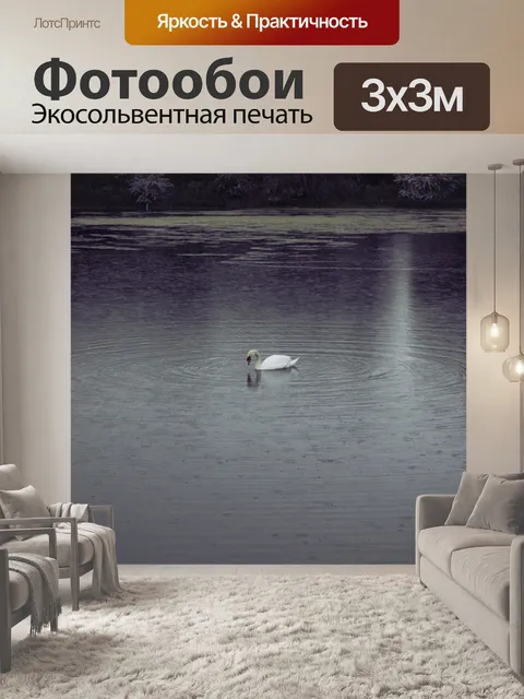 Фотообои Лебедь