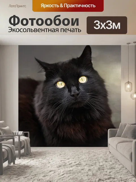 Фотообои Кот