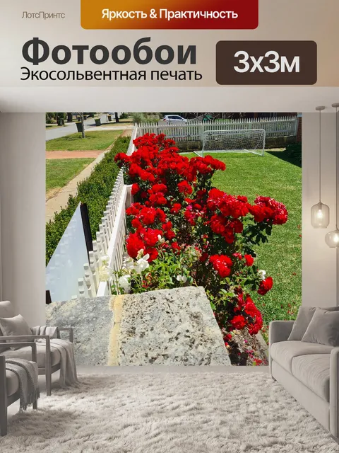 Фотообои Сад красных бенгальских роз