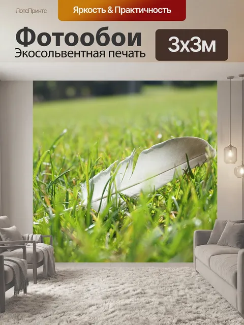 Фотообои Перо