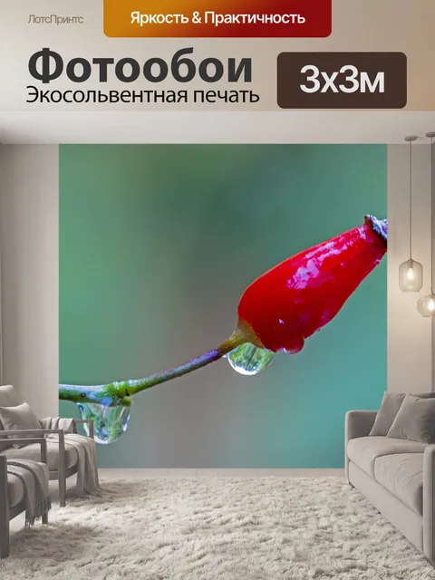 Фотообои Кустовая роза