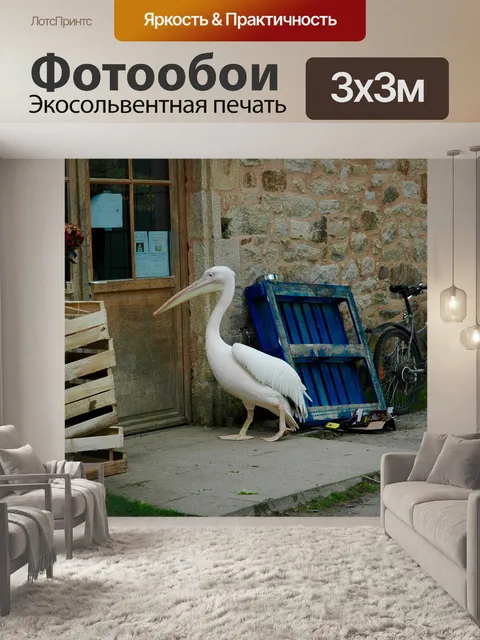Фотообои Пеликан