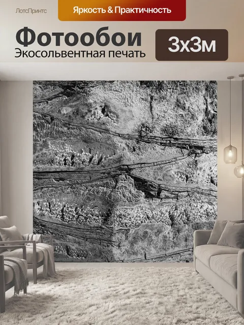 Фотообои Палм текстуры ствола дерева