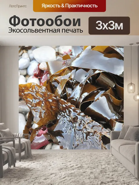 Фотообои Водоросли