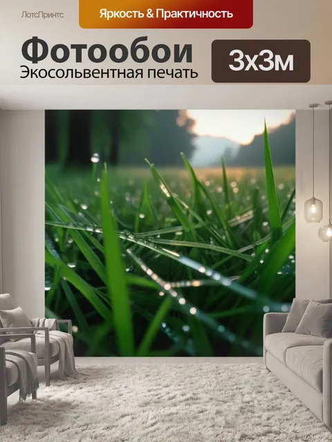 Фотообои лес на утреннем рассвете с роса на траве