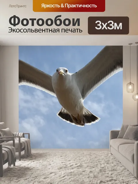 Фотообои Животное