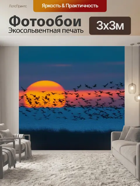 Фотообои птицы, вылетающие на рассвете