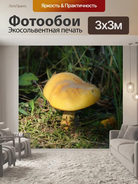 Фотообои Желтый гриб Bolete в тени