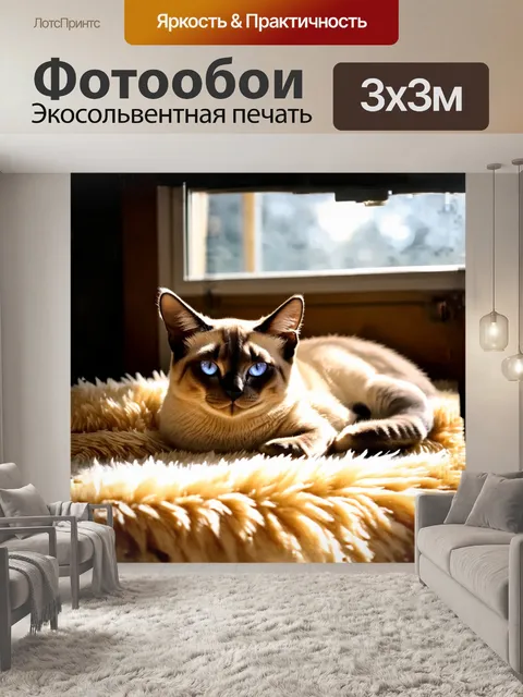 Фотообои сиамский кот, с его гладкой и блистательной шерстью, нежно свернувшись клубком на мягком пушистом ковре…