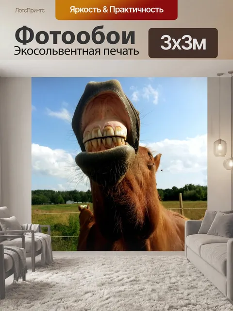 Фотообои Верховая Улыбаясь