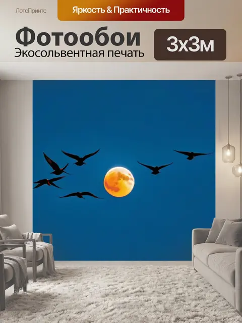Фотообои летящие птицы на фоне затмения