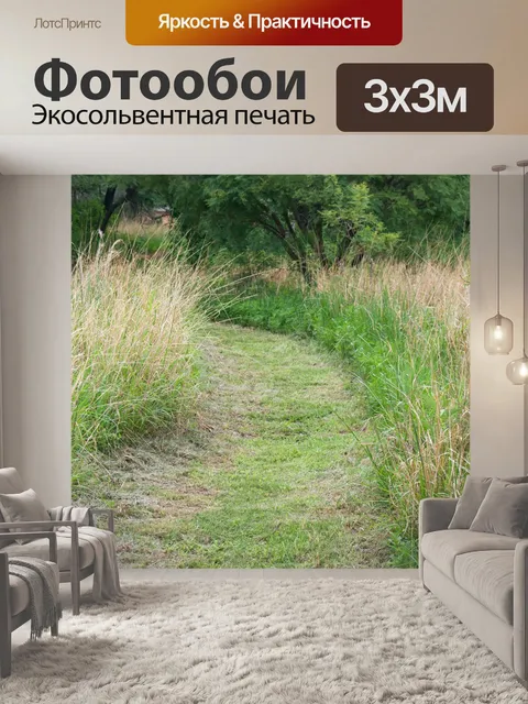 Фотообои покрытая травой дорожка