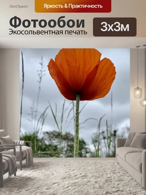 Фотообои Мак