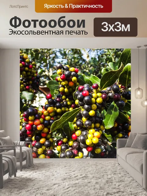 Фотообои Белое молочное ягод