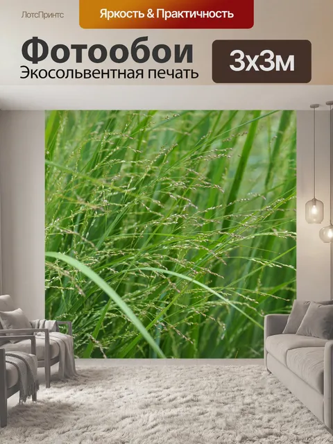 Фотообои Трава декоративная трава завод