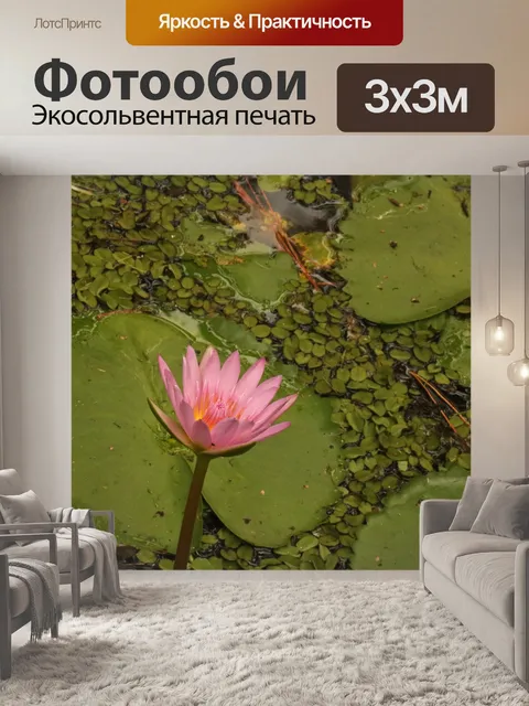 Фотообои Розовая кувшинка на пруду