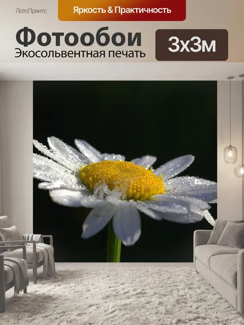 Фотообои Ромашки